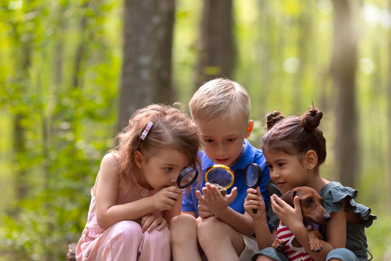 Summer camp for kids,